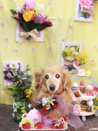 20230330クーちゃん